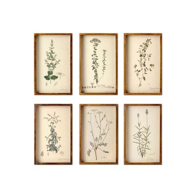 Framed Prints Collected Botanical Set of 6 Aged Natural Wood