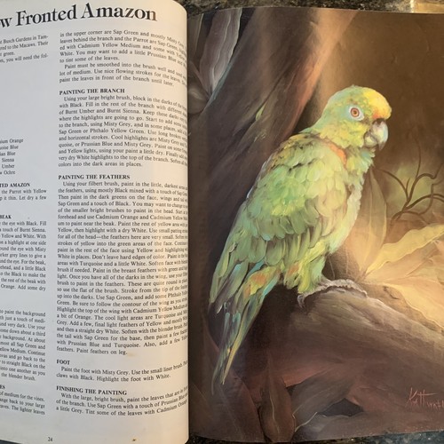 Exotic Birds Painting Gary & Kathwren Jenkins Parrot Lovebirds Macaw 2 Patterns - Picture 9 of 16