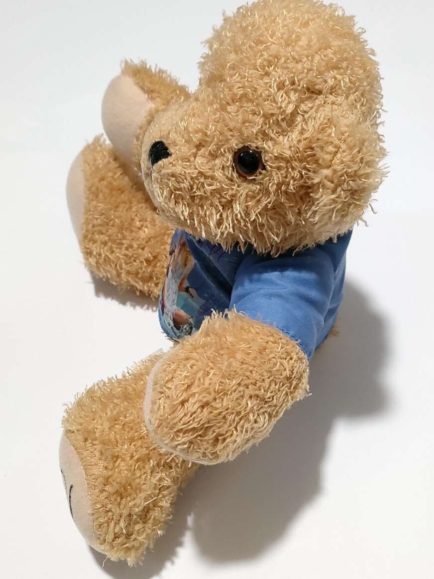 Taylor Swift Fearless Teddy Bear Very Rare | eBay