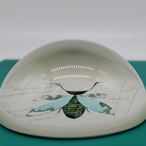 Paperweight 3" Dome Resin Bee Beetle Wasp Insect Modern Art Retro CBK Ganz NEW - Picture 9 of 13