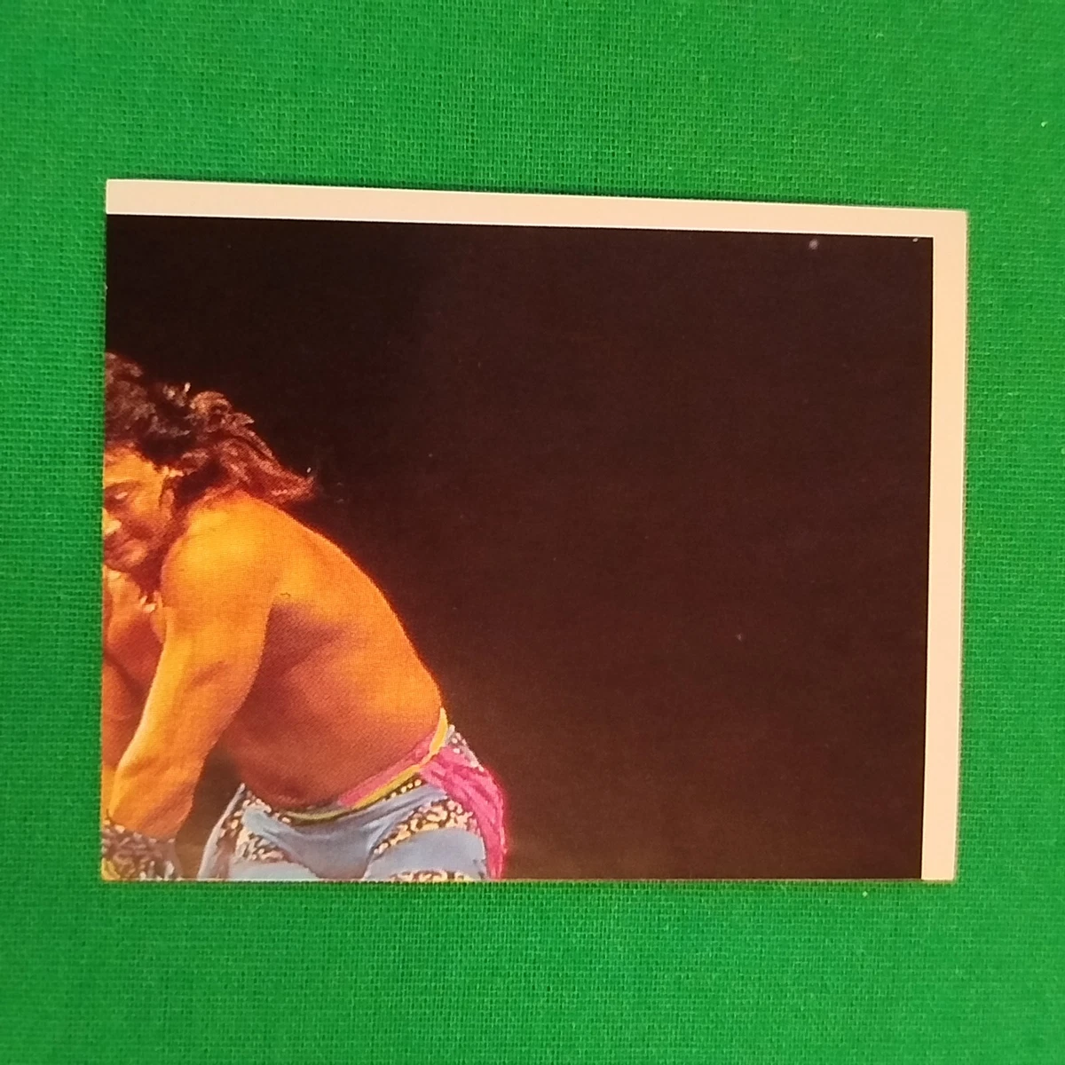 Wrestling 1991 Season Collectable Sports Sports Stickers for sale