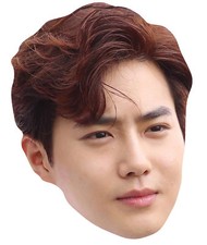 Suho from Exo Single 2D Card Party Face Mask - Kim Jun-myeon - K Pop
