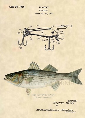 Esca Da Pesca Con Lettera S Iniziale E Onda - Immagini Vettoriali Stock - Foto 4