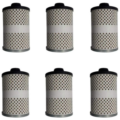 6 Pcs 496-5 Water - Block Fuel Tank Filter Element Replace for GOLDENROD