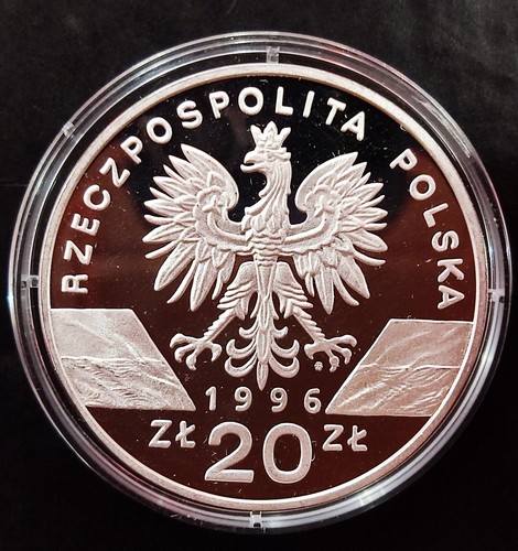 20 Zloty Hedgehog 1996 Poland Silver - 第 5/7 張圖片