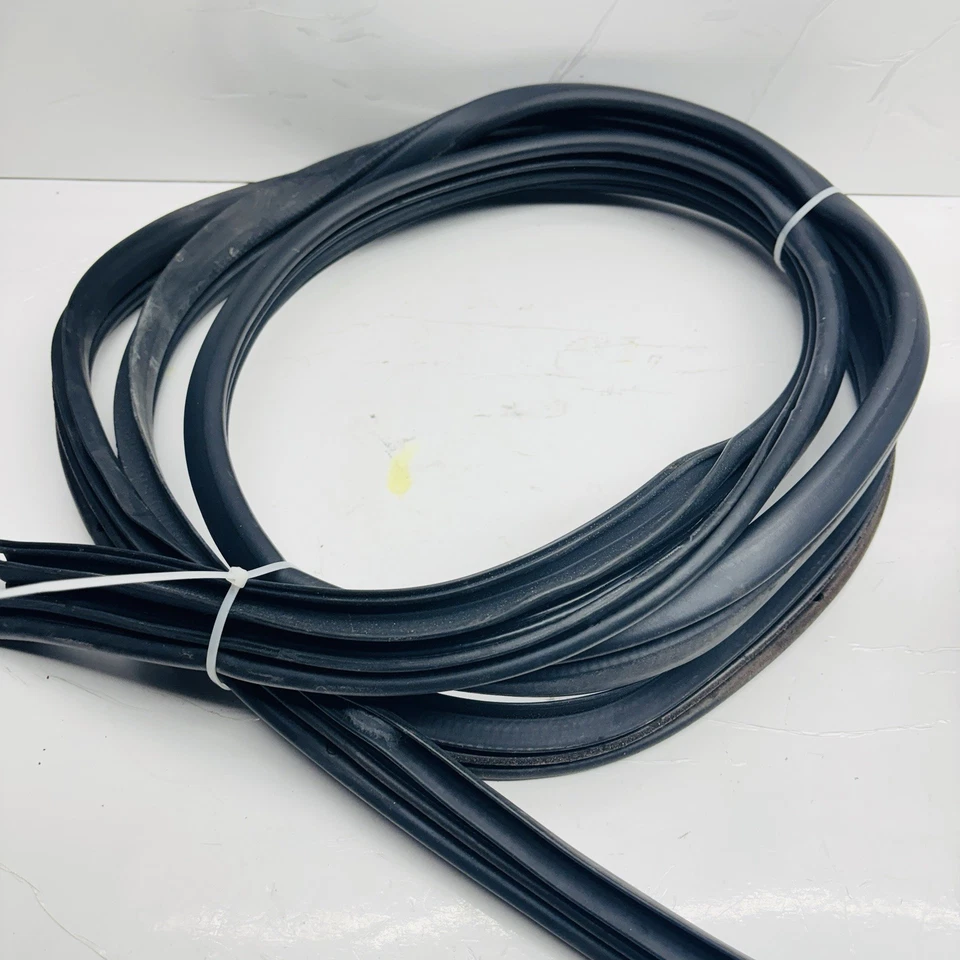 Chrysler Aspen Dodge Durango carrocería del pasajero delantero sello de puerta lateral resistente al clima Foto 2 de 2