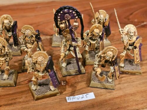Warhammer Fantasy AOS Tumba Reyes de Khemri Tumba Guardia Pintado x10 AA025 - Imagen 15 de 24
