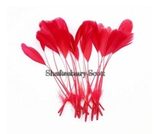 LONG RED FEATHERS RED  Stripped Coque x 10 Millinery  Arts & Crafts 6 - 8"