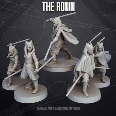 1x Erwachsene Ahsoka Tano 1:46 Star Wars Legion Scale Resin 3d gedruckt