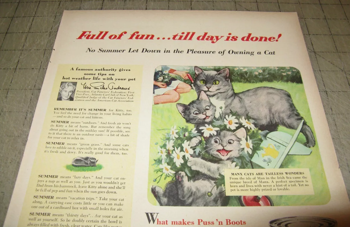 How Humans Created Cats - The Atlantic