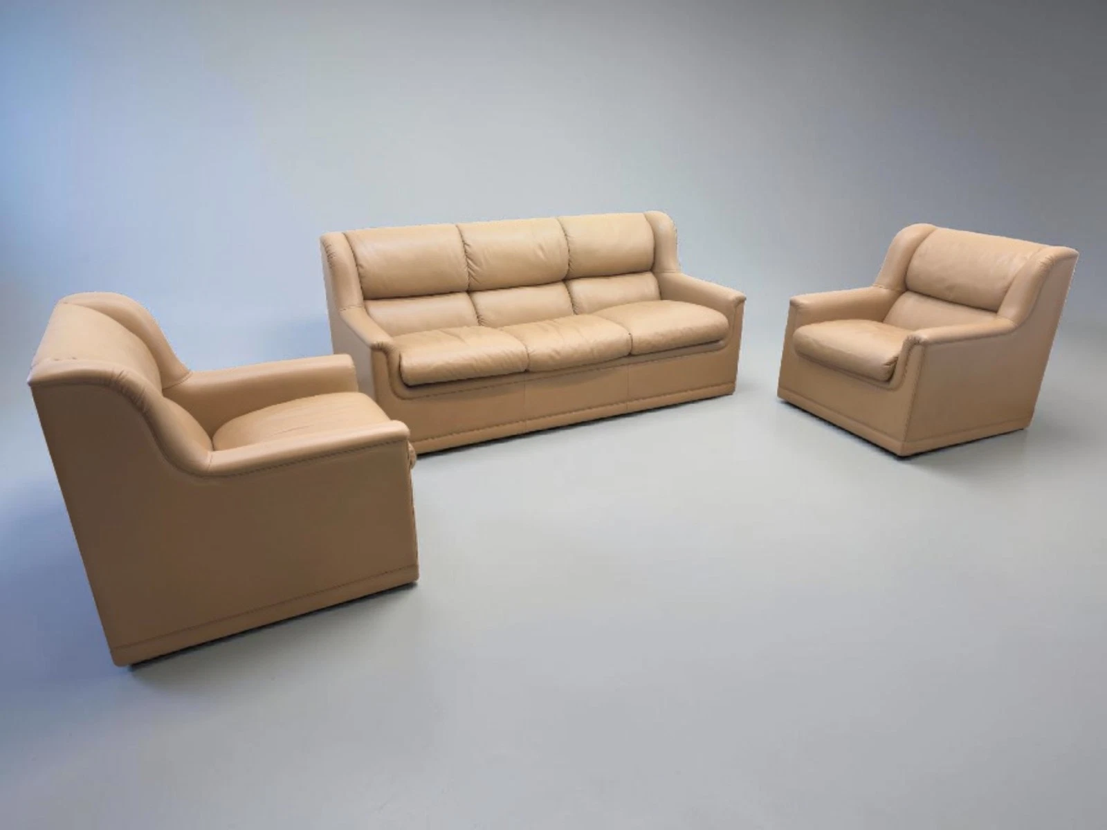 Poltrona Frau Set Designer Chair Leather Chair Chair Leather Sofa Couch Designer Sofa