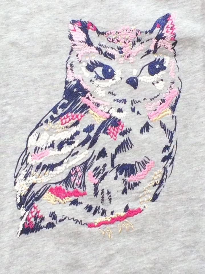 全新带标签 Gymboree 女孩 12 Back To Blooms 猫头鹰 Heather 灰色运动衫 Terry 连衣裙 — 第 3/4 张图片