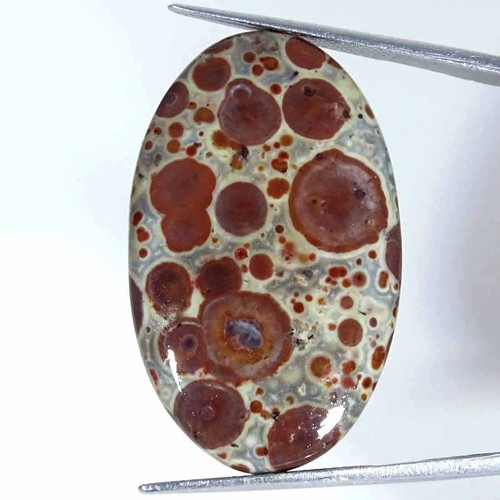 Opale Noble D'Australie En Cabochon Doublet - 1.60 Carats - Collection Cadeau