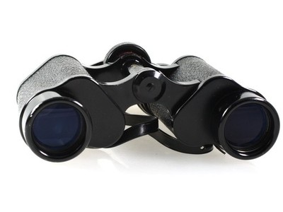 Revue Rewarded Optics 8x30 131m at 1000m Binocular Field Stecher