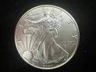 2020 American Silver Eagle Brilliant Uncirculated .999 Fine Silver Encapsulated