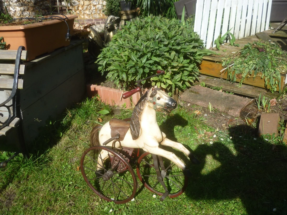 TRICYCLE CHEVAL EN BOIS ET FONTE XIXE Marron/Rouge Bois/Fonte - Vendu