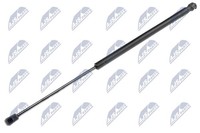 NTY Heckklappen DäMpfer Gasfeder Kofferraum AE-NS-003 FüR Nissan Almera 2 N16