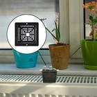 10pcs Water Culture Net Pots for Growing Plants Including For Orchids Tomatoes