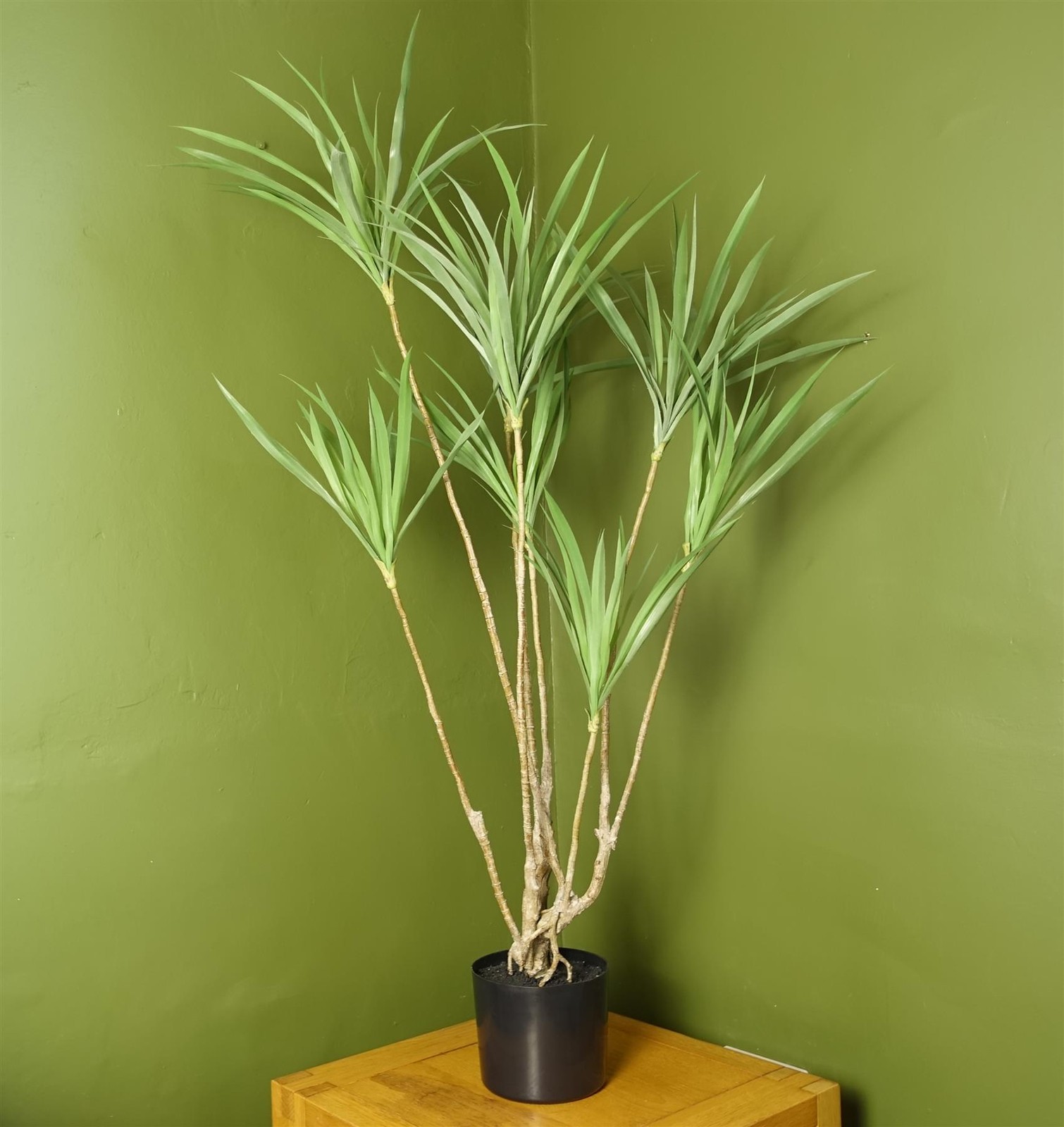 B&Q -  125Cm Dragon Plant Dracaena Tree Artificial Natural Look - Image 3