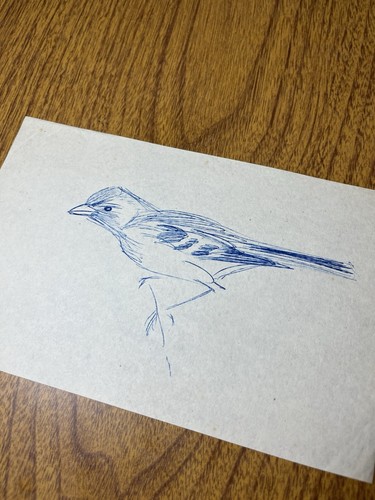 Drawing Of A Bird By Stanislaus Brien - Picture 3 of 5