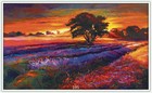 Bild 176 von 239