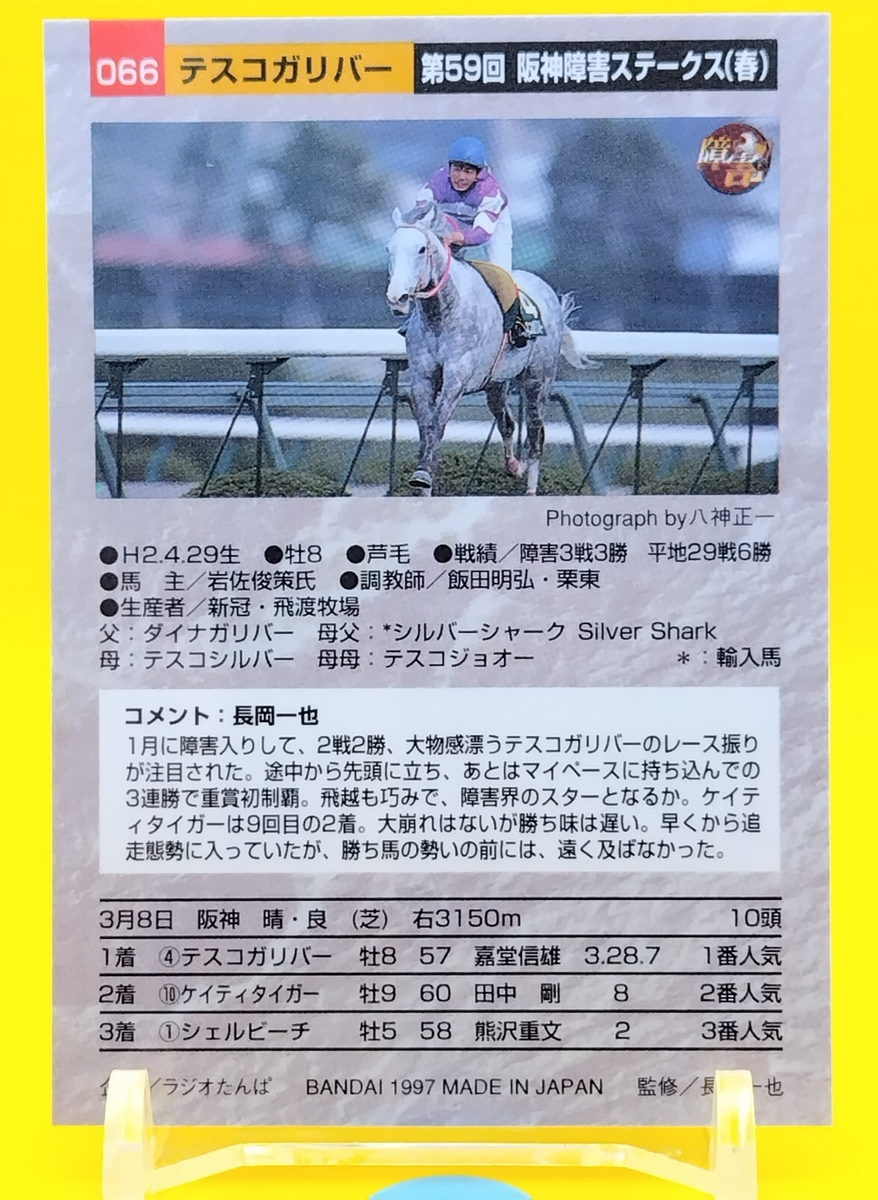Tesco Gulliver / Thoroughbred Horse Racing Card Vintage TCG BANDAI