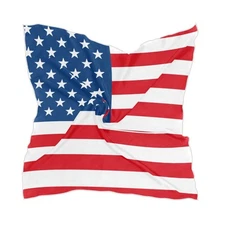 Women's Fashion Silk Scarf American Flag Square Satin Headscarf Neck Scarf He...