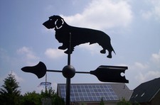 Dackel, Wetterfahne, Edelstahl, Rauhaardackel, Jagd, J&auml;ger Wetterfahnen Knirsch