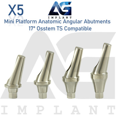 5 Angled Anatomic Abutment 17° 2.1mm Fit Mini Platform 0sstem  TS Hex