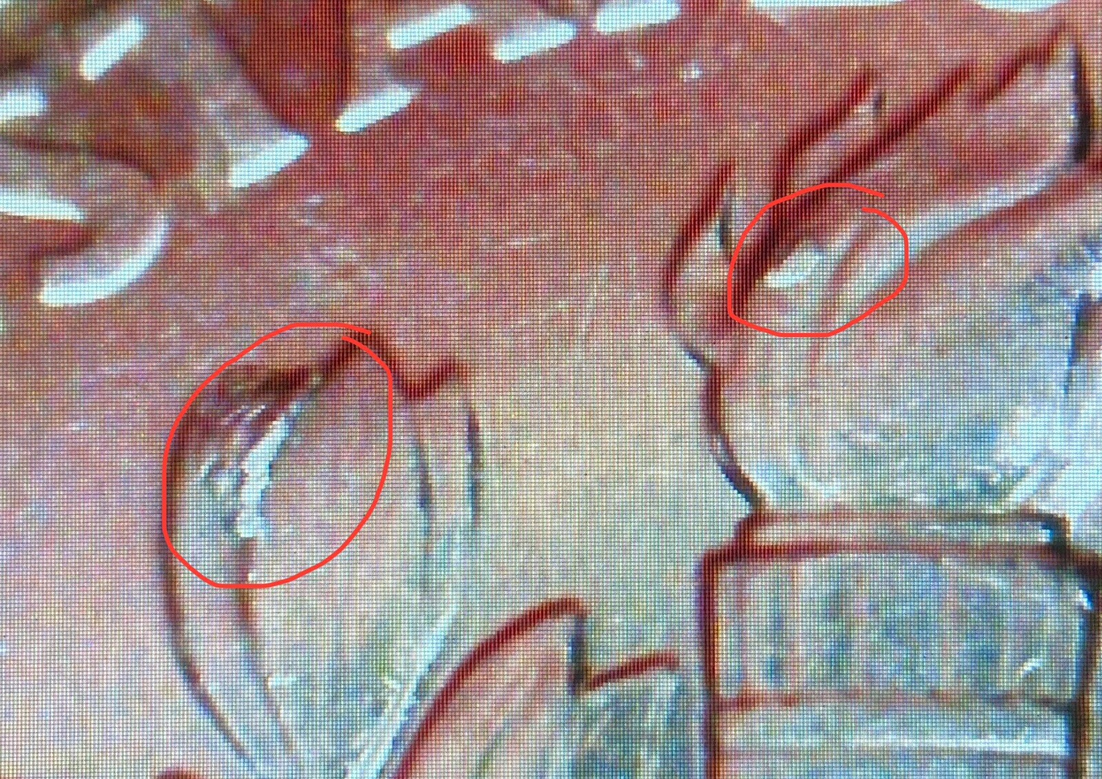 Picture 3 of 5
