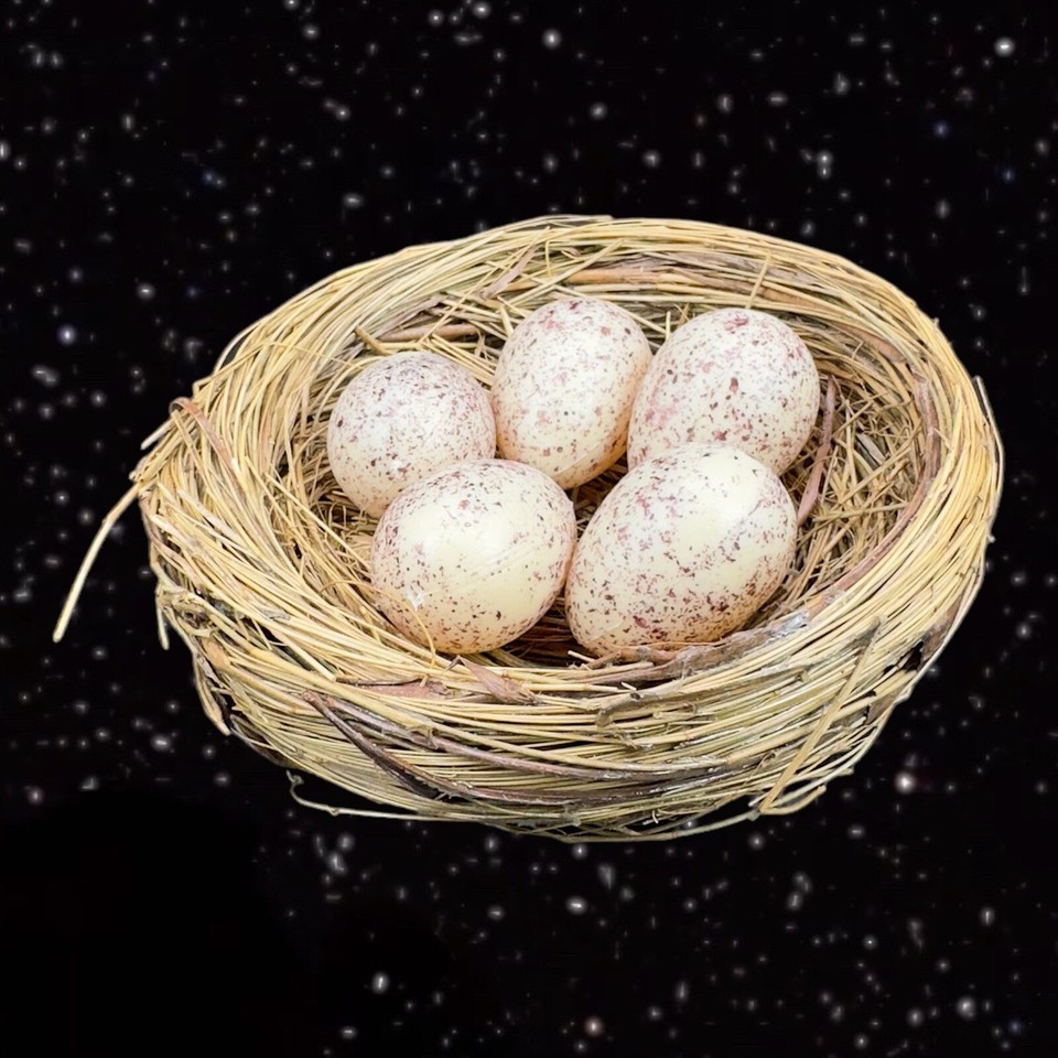 Figural Bird Nest Figurine Decorative 5 Eggs Laying On A Nest Figurine
