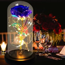 Birthday Gifts for Women,Christmas Rose Gifts for Mom,Women,Her,Wife,Grandma,