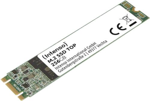 Intenso Internal M.2 SSD SATA III Top, 256GB, 520MB/second 256GB M.2 - Imagen 1 de 2
