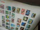 Bild 16 von 24