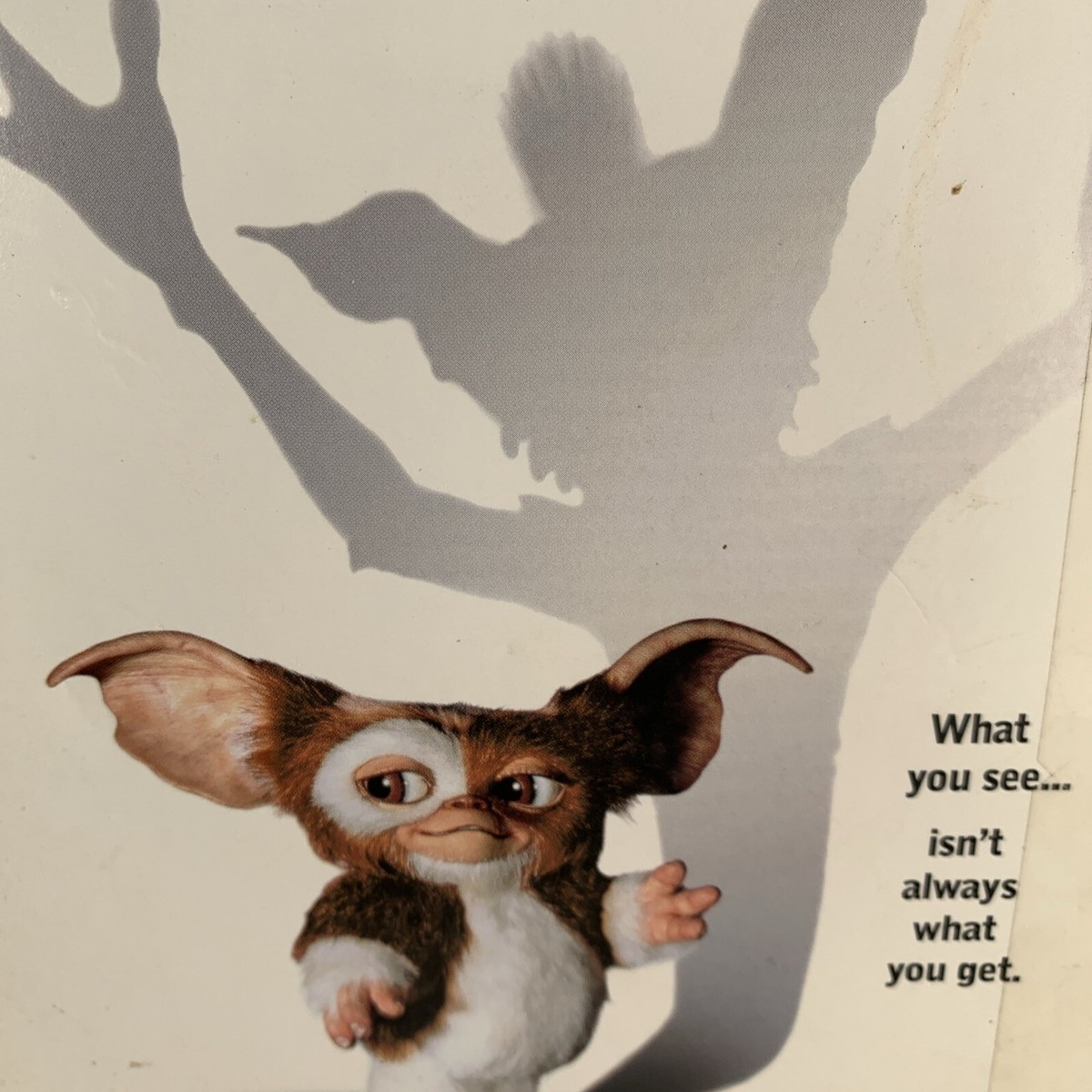 Gremlins DVD Steven Spielberg Gizmo Christmas - Phoebe Cates, Zach