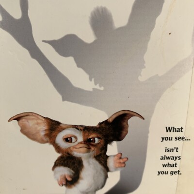 Gremlins DVD Steven Spielberg Gizmo Christmas - Phoebe Cates, Zach