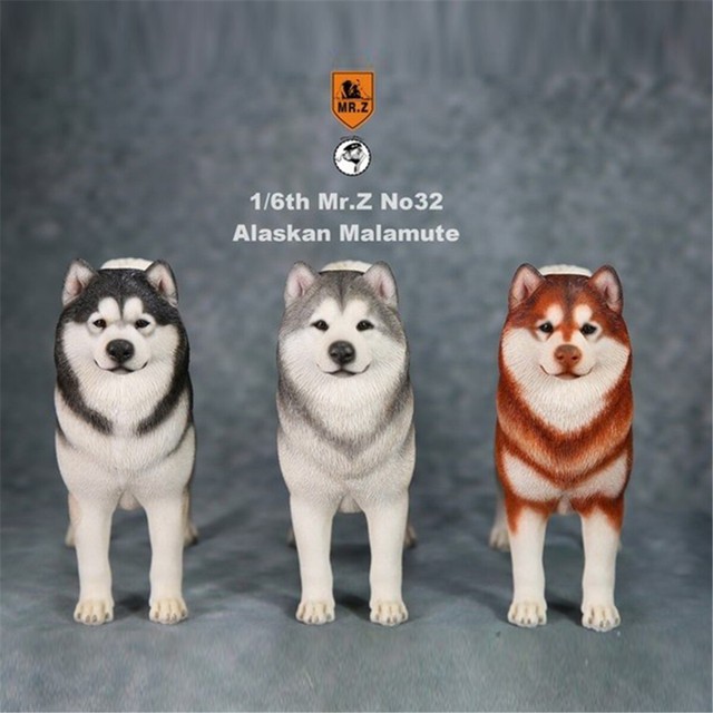 Mr.Z 1/6 Alaskan malamute Dog Loyal Pet Figure Animal Toys Collector
