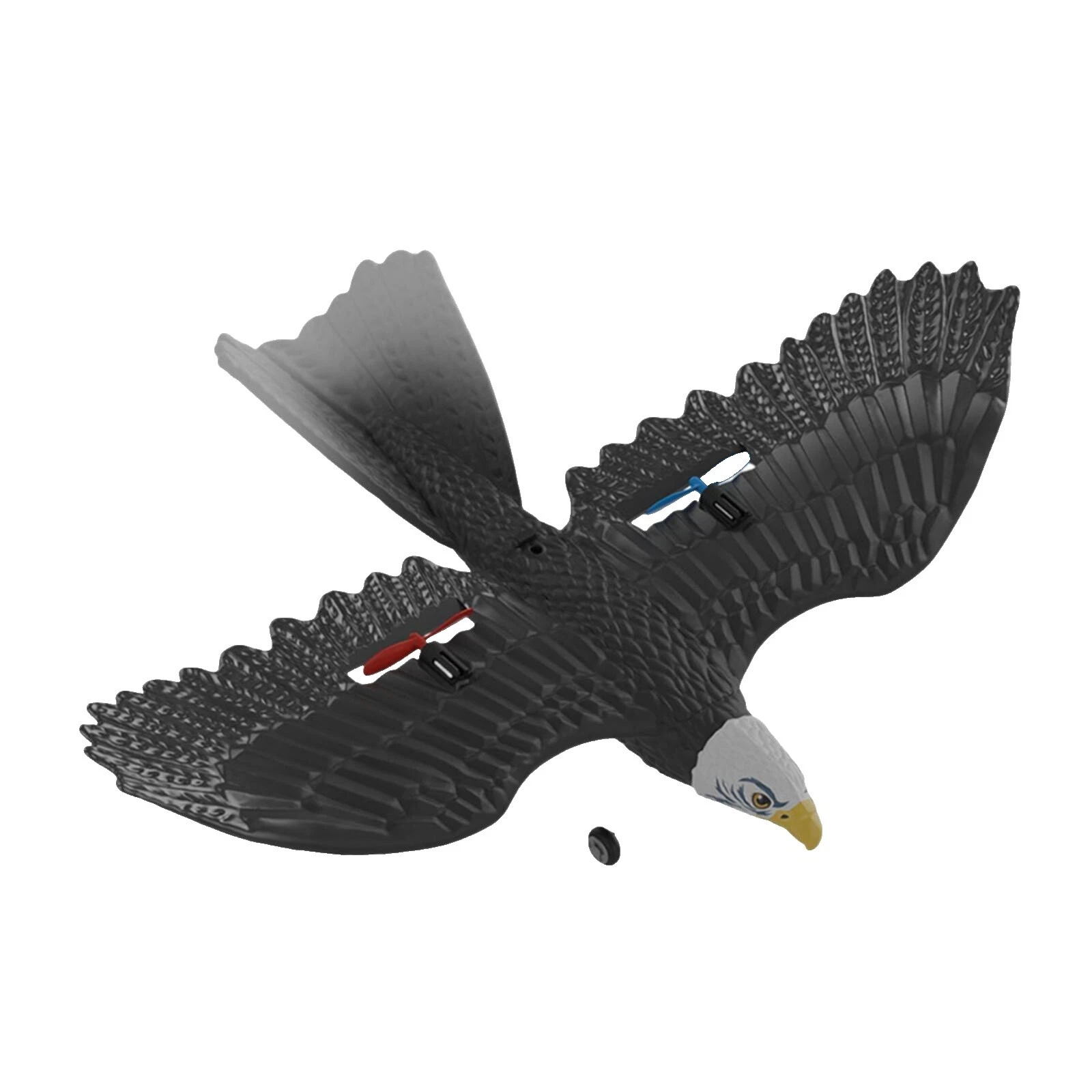 Black Hobby RC Airplane Models & Kits