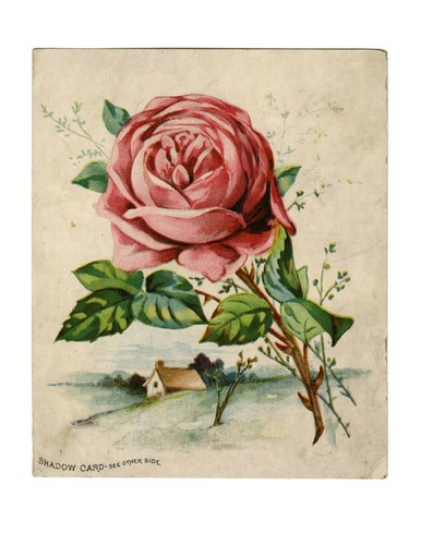 Oversized Vintage Images Volume 1: Premium Antique Ephemera for Scrapbooking NEW - Picture 9 of 11