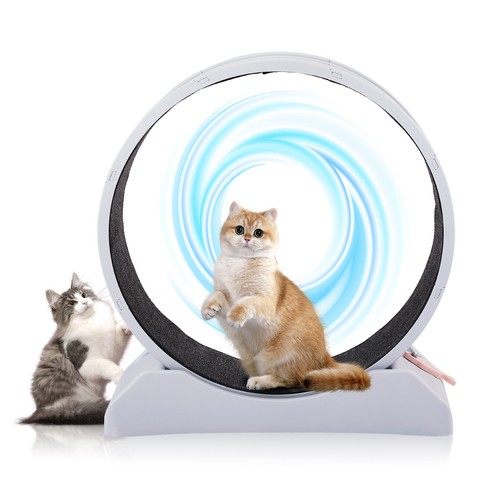 Cat Exercise Wheel, 31 inch Cat Wheels for Indoor Cats - Picture 3 of 12