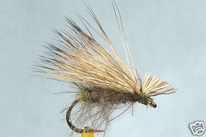 10 Mouche Da Pesca A Mosca Secche – Ragno Rosso F.H12/14/16/18 – LOTTO Spider Red Fly