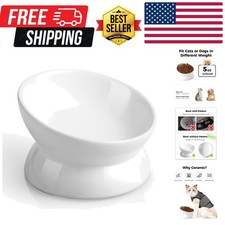Elevated Cat Food Bowl, 5 Oz Ceramic Raised and Tilted Water Bowl, Anti Vomit...