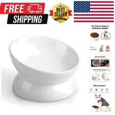Elevated Cat Food Bowl, 5 Oz Ceramic Raised and Tilted Water Bowl, Anti Vomit...