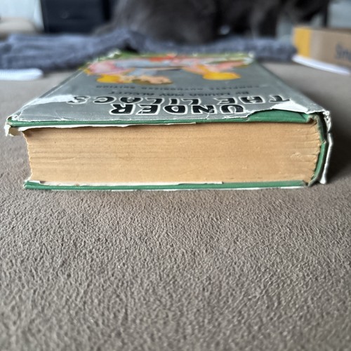Under The Lilacs, by Louisa May Alcott, Authorized Edition 1928, w/ Dust Jacket - Picture 6 of 11