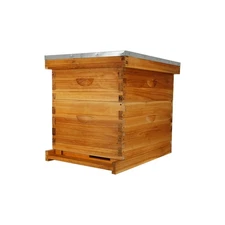 10-Frame Bee Hive Complete Beehive Kit Beeswax Coated Beehive Include Frames ...