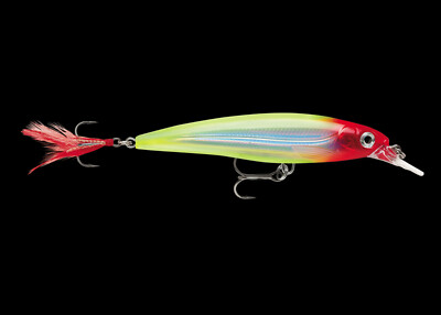 Rapala Clown CLN XRAP XR 8 Jerk Slashbait Suspending Fishing Lure NEW     i5
