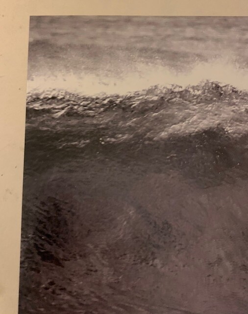 John Severson Original signed photo- surf art | eBay