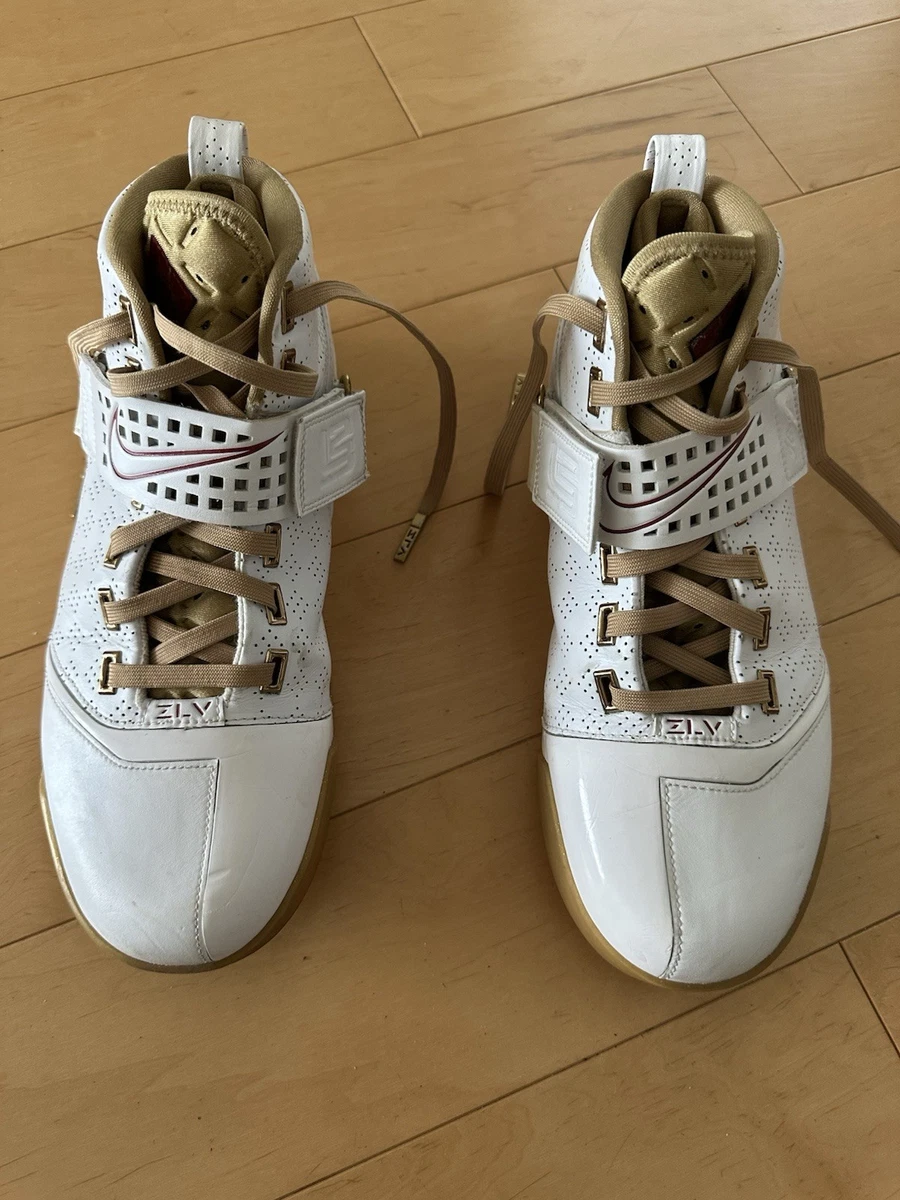 Nike Zoom LeBron V Athletic Shoes for Men for Sale | Authenticity