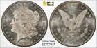 1885-P Morgan PCGS MS63 PL (PROOF LIKE), Gold Shield with True View Photos