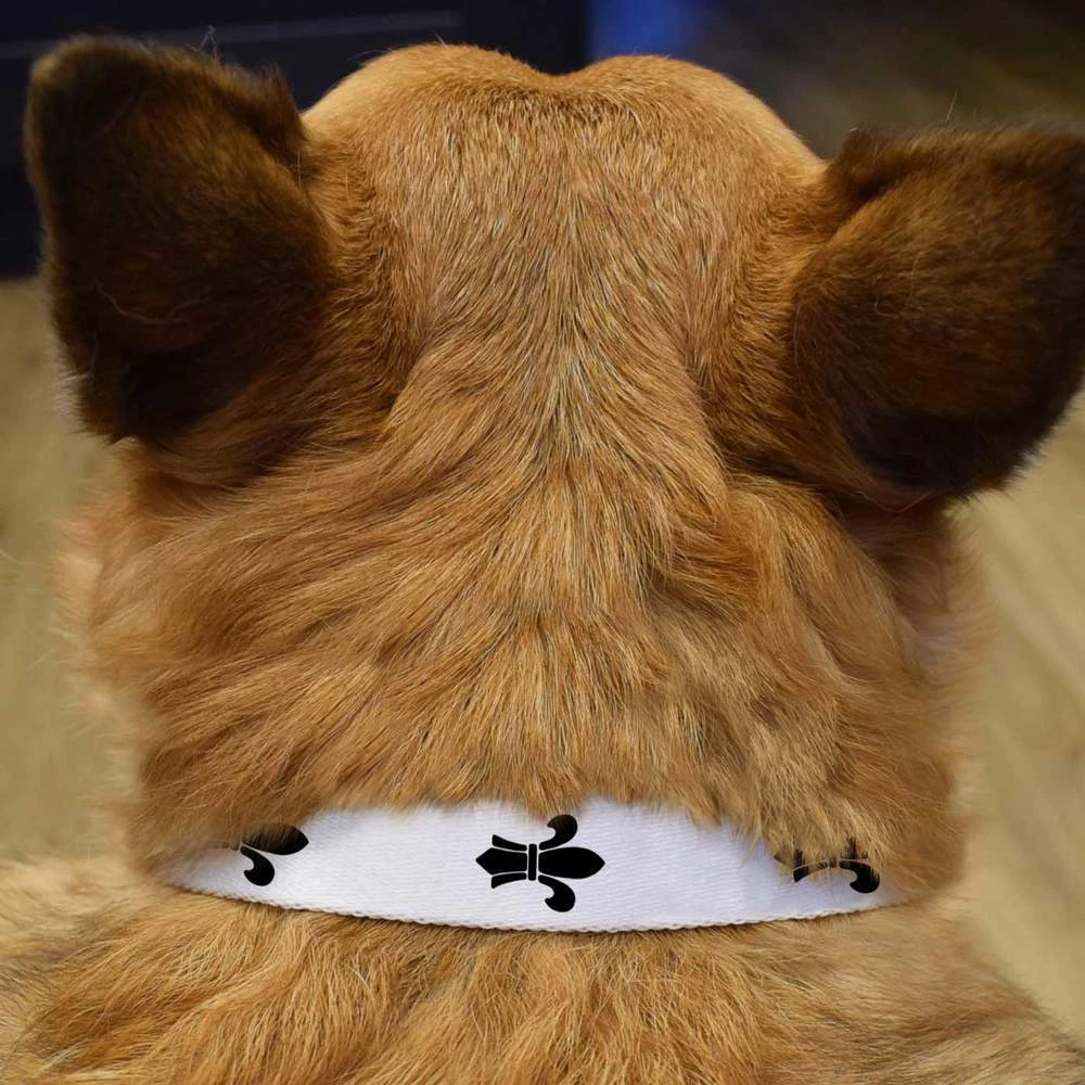 Fleur de sale lis dog collar